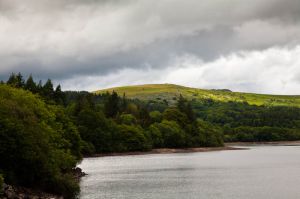 Landscape Photography-Dartmoor-Lou-Smith-5215.jpg